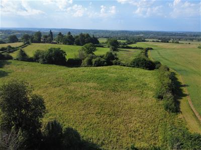 Picture 33
